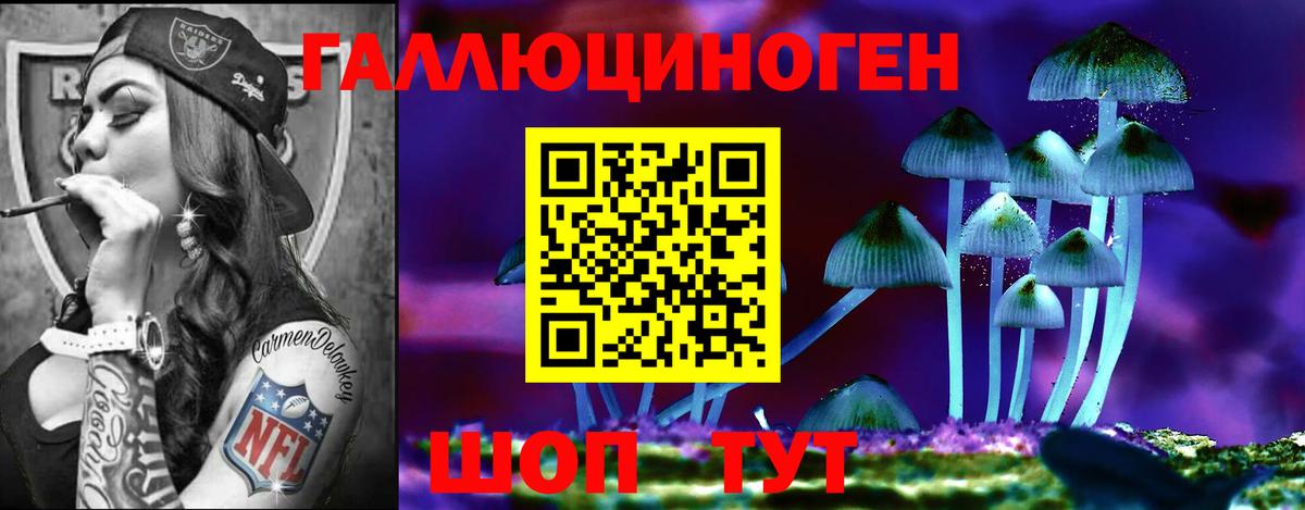 Псилоцибиновые грибы ЛСД Гудермес