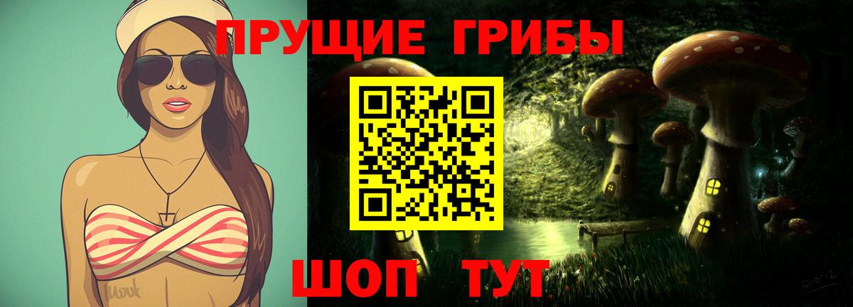 Гудермес  Галлюциногенные грибы Cubensis  Вход с VPN 